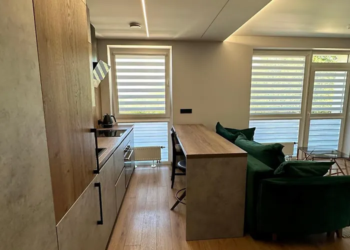 아파트 Budiniskiu Apartamentai 빌뉴스